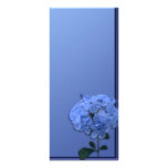 Blue Blossom rack cards