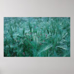 Blue Breath Print