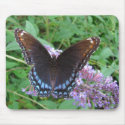 Blue & Brown butterfly ~ mousepad