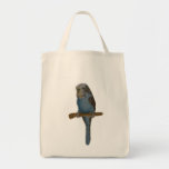 Blue Budgie Art Bags