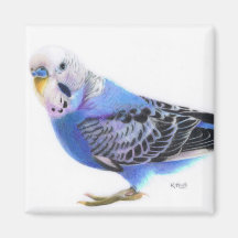 Blue Budgie Fridge Magnet