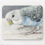 Blue Budgie Parakeet Bird Art mousepads