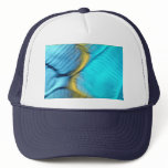 Blue bulges hats