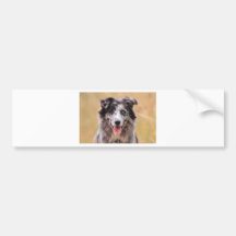 Blue Bumper Stickers