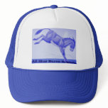 blue burro tshirt logo hats