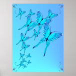 Blue Butterflies Poster