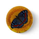 Blue butterfly and the sunflower button