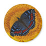 Blue butterfly and the sunflower fridge magnets