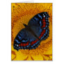 Blue butterfly and the sunflower greeting cards