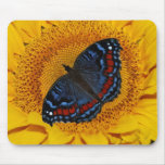 Blue butterfly and the sunflower mouse mats