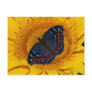 Blue butterfly and the sunflower post card