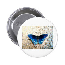Blue Butterfly Buttons