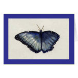 Blue Butterfly Cards