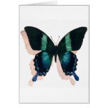 "Blue Butterfly" Insect Watercolor Art Card