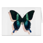 "Blue Butterfly" Insect Watercolor Art Card