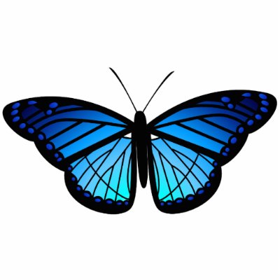 Blue butterfly magnet by Elsapozu