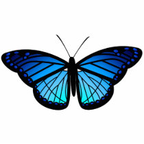 Blue butterfly magnet