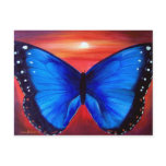 Blue Butterfly Morph Sunset - Multi postcards