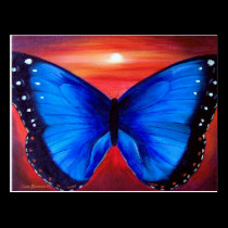 Blue Butterfly Morph Sunset - Multi postcards