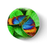 Blue Butterfly Pencil Art Button