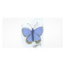 Blue butterfly personalized photo card