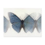 Blue Butterfly