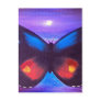 Blue Butterfly Sunset Painting - Multi Postcard