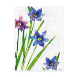 blue by you watercolor postcards
