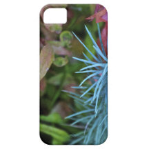 blue cactus iPhone 5 case
