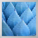 Blue Cactus posters