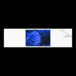 blue camelia bumper stickers