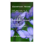 Blue Campanula Flowers Business Cards