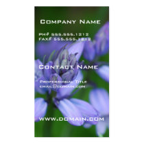 Blue Campanula Flowers Business Cards business cards