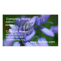 Blue Campanula Flowers Business Cards business cards
