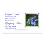 Blue Campanula Flowers Business Cards