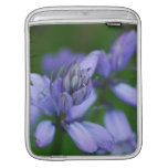 Blue Campanula Flowers iPad Sleeve