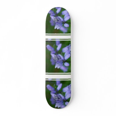 Blue Campanula Flowers Skateboard by PerennialGardens