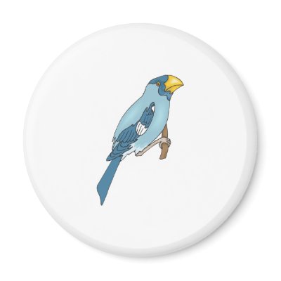 blue canary fridge magnets by doonidesignsanimals