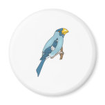 blue canary magnets