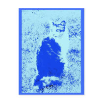 Blue Cat, blue kitty Post Cards
