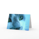 "Blue" Cat Card
