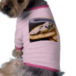 Blue Cheese Roquefort pet clothing