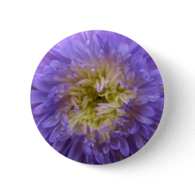 Blue China Aster Button by ColorsofNature