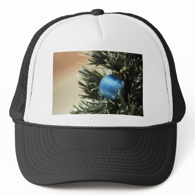 Blue Christmas Hat by Ljrigg