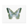 Blue Clipper Butterfly Postcard