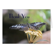 Blue Clipper Butterfly Thank You Card