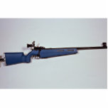 Blue colour Target rifle photo sculptures