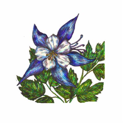 blue columbine by artbyjehf