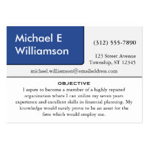 Blue Corner RESUME Business Cards