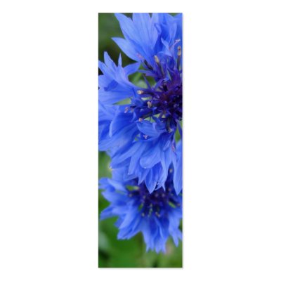 Blue Cornflower Bookmark Business Card Templates by Country1969